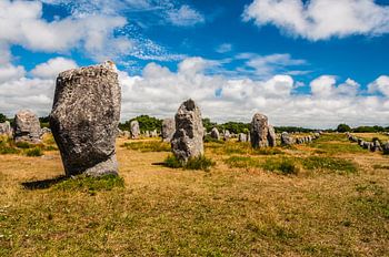 Alignements du Ménec