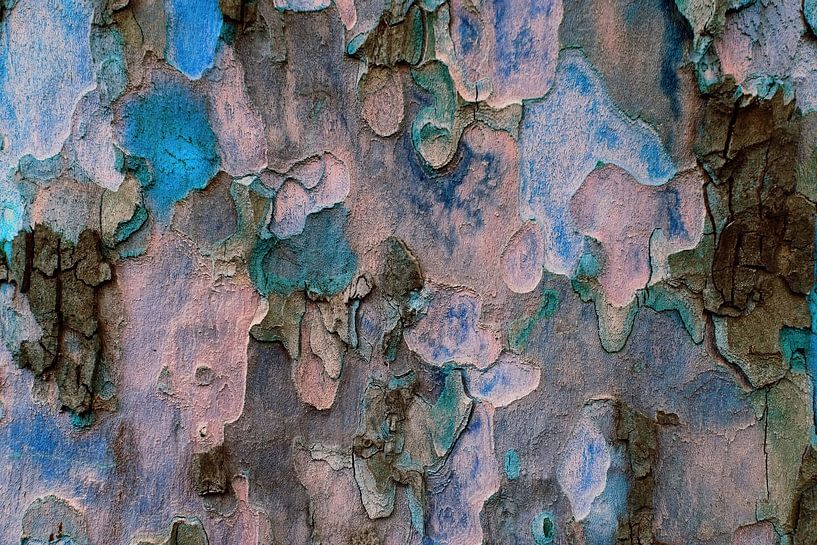 The Wall van Moonheart Artworks