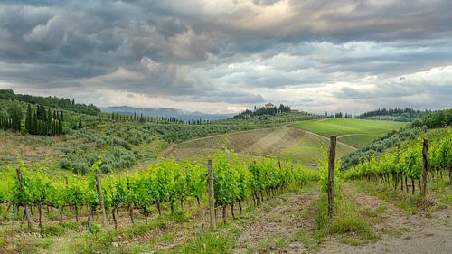 Toskana mit Weinreben Chianti in Italien