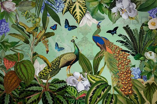 Mystieke regenwoudjungle met kleurrijke pauwen