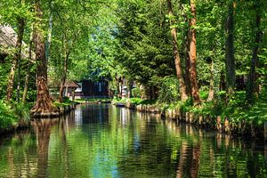 Gebäude im Spreewald in Lehde