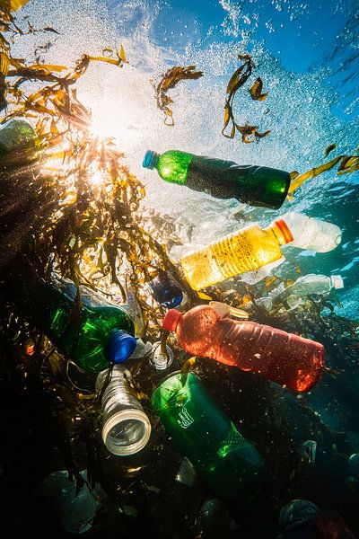 Unterwasserwelt voller Plastikmüll von Poster Art Shop