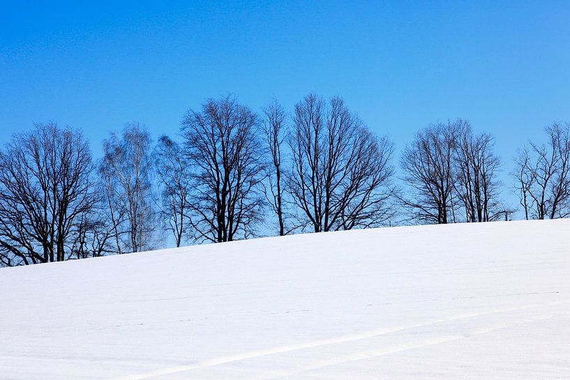 Wintertime by Thomas Jäger