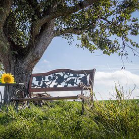 Le banc du vieux pommier sur Jürgen Schmittdiel Photography