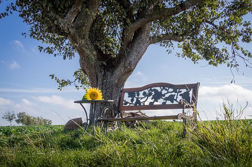 Het bankje bij de oude appelboom