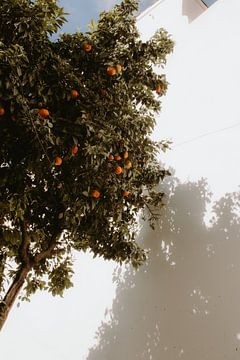 Zomerse sinaasappels van Aniek Paauwe
