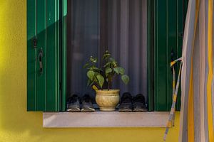 Détails des maisons colorées de Burano