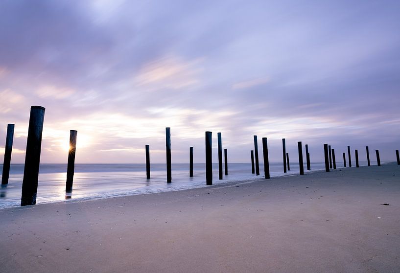 Palendorp Petten by Tom Vogels