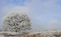 Winters aanzicht