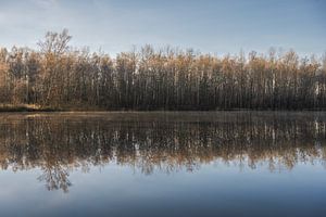 Zonsopkomst aan het water in de winter