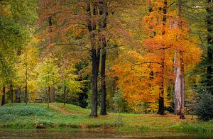 Autumn Painting van Mario Visser