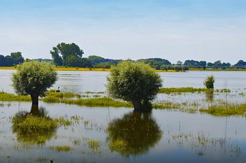 Extensive areas of the river IJssel by Greta Lipman