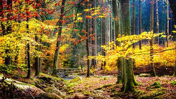 Hatz Ilsenburg de herfst van Tim Lee Williams