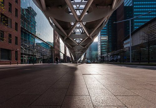 De Netkous in het Beatrixkwartier Den Haag
