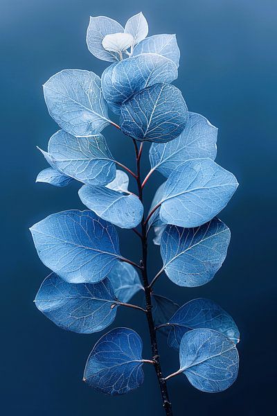 Blauwe eucalyptusbladeren tegen een zwarte achtergrond van Art & Soul Creations