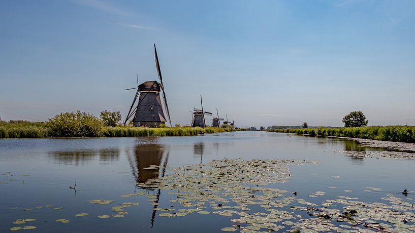 Kinderdijk van Maurice Meerten