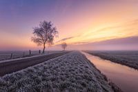 Zonsopkomst in de polder