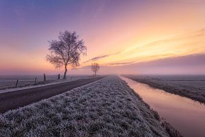 Lever de soleil dans le polder