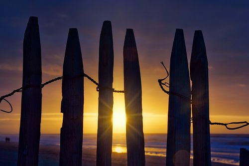 Strandschutting bij sunset Katwijk aan Zee