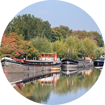 aken afgemeerd in een kanaal met vegetatie, Tilburg van Tony Vingerhoets