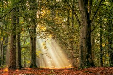 Mächtiger Sonnenstrahl von Lars van de Goor