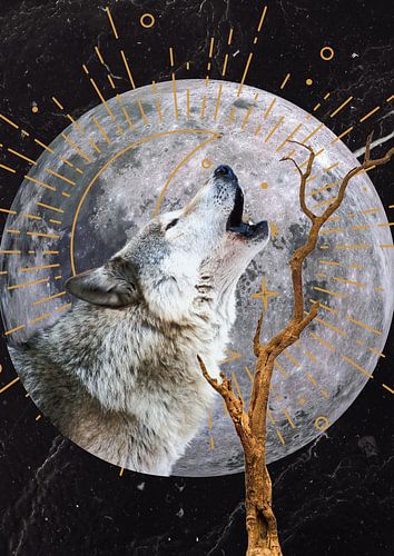 Wolf huilt naar de volle maan