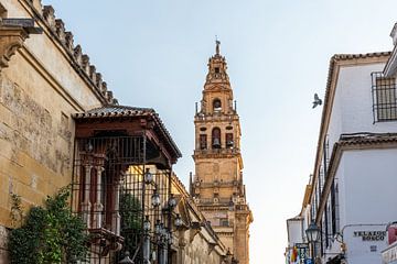 The beautiful tower of the Mezquita in Cordoba by Joke Van Eeghem