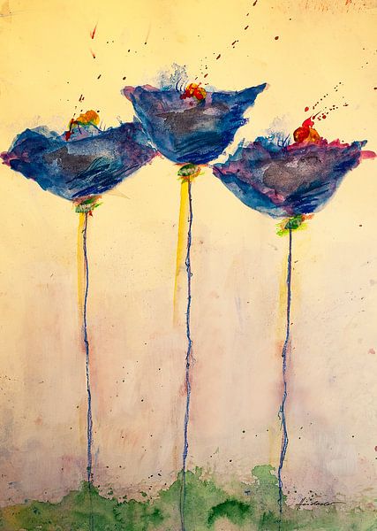 Drei blaue, langstielige Mohnblumen auf einer Wiese von Klaus Heidecker