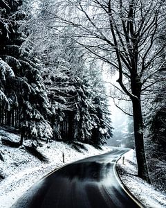 Winter Wonderland by Joris Machholz