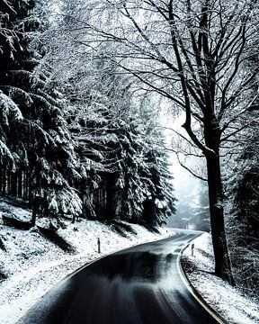Winter Wonderland van Joris Machholz