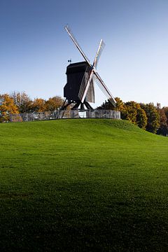 Éolienne à l'horizon