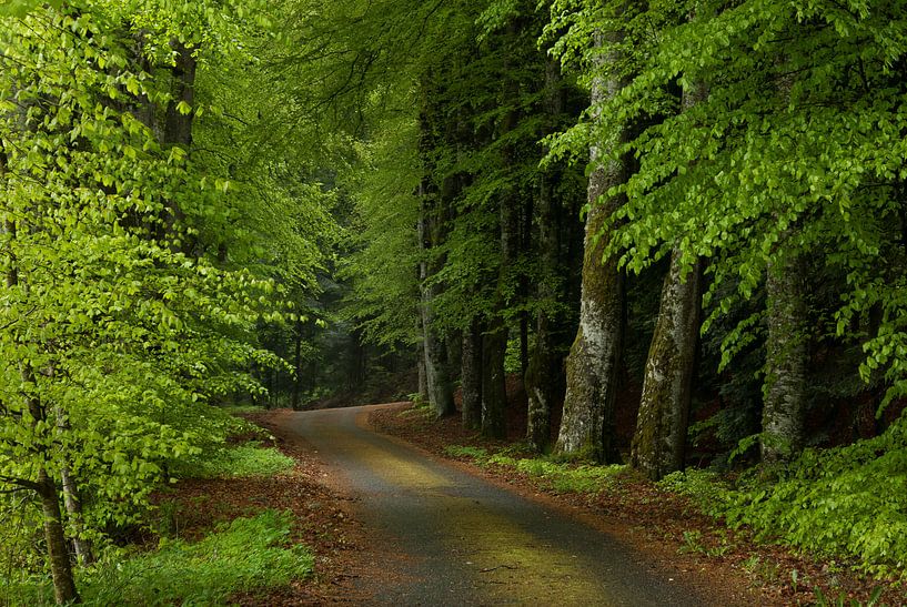 Der Weg nach Folgoux von Hetwie van der Putten