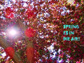 Spring Es In Die Air! van MoArt (Maurice Heuts)