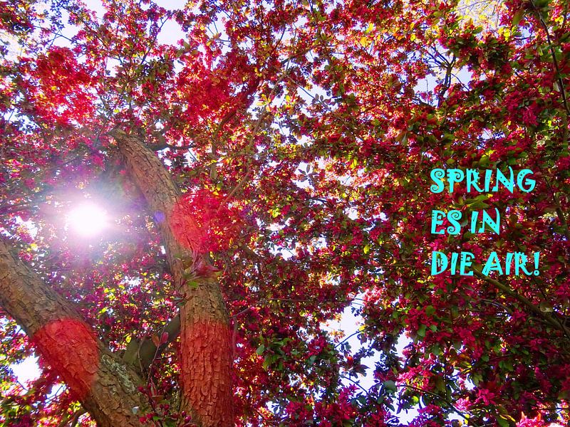 Le printemps est dans l'air ! par MoArt (Maurice Heuts)