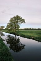 Weerspiegeling
