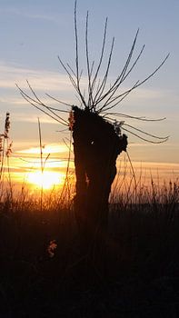 Zonsondergang  zuiderzeestrand 