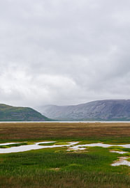 A Nordic tundra landscape bathed in soft light