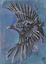 A crow by Rob Eikenaar thumbnail