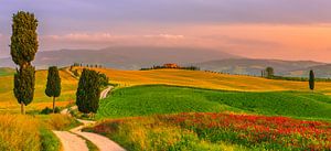 Agriturismo Podere Terrapille, Toskana