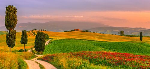 Agriturismo Podere Terrapille, Toskana von Henk Meijer Photography