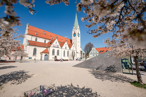 Amandelbloesem in de lente op het St. Mang plein en kerk
