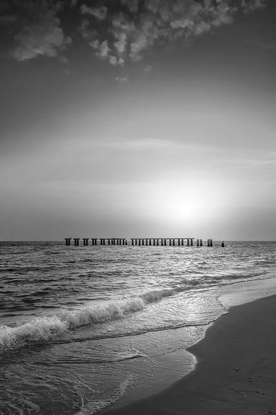 Gasparilla Island Sunset | Monochrome by Melanie Viola