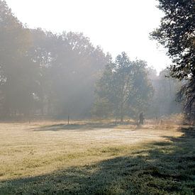 Morning mist by George van der Vliet