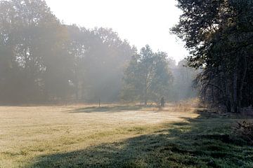 Ochtendmist van George van der Vliet