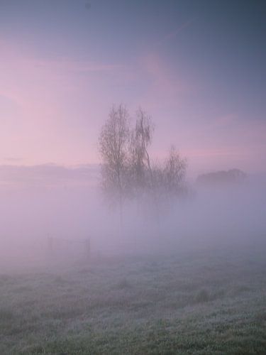 Matin brumeux, je