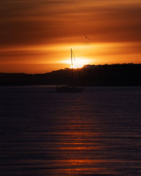 Olá Algarve von Joris Machholz