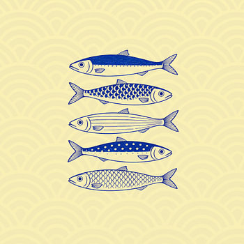 Cream Tides: A Five Indigo Fish Study