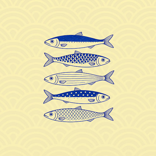Cream Tides: A Five Indigo Fish Study