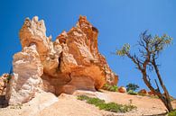 BRYCE CANYON Fascinantes formations rocheuses par Melanie Viola Aperçu