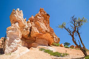 BRYCE CANYON Faszinierende Felsformationen von Melanie Viola